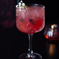 SANDIA MULE