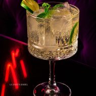 ST GERMAIN SPRITZ